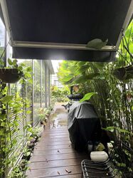 Mont Timah (D21), Terrace #449424101